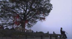 CCTV䮔(dng)o(j)Ƭȫ