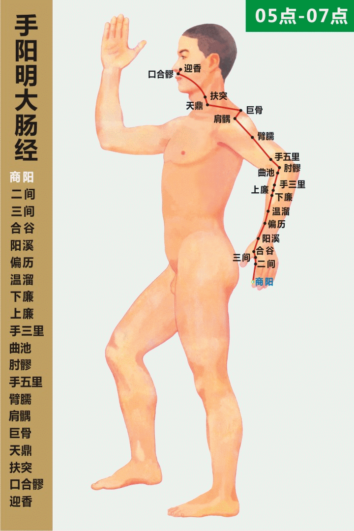 十二經絡走向動態圖 道家養生網