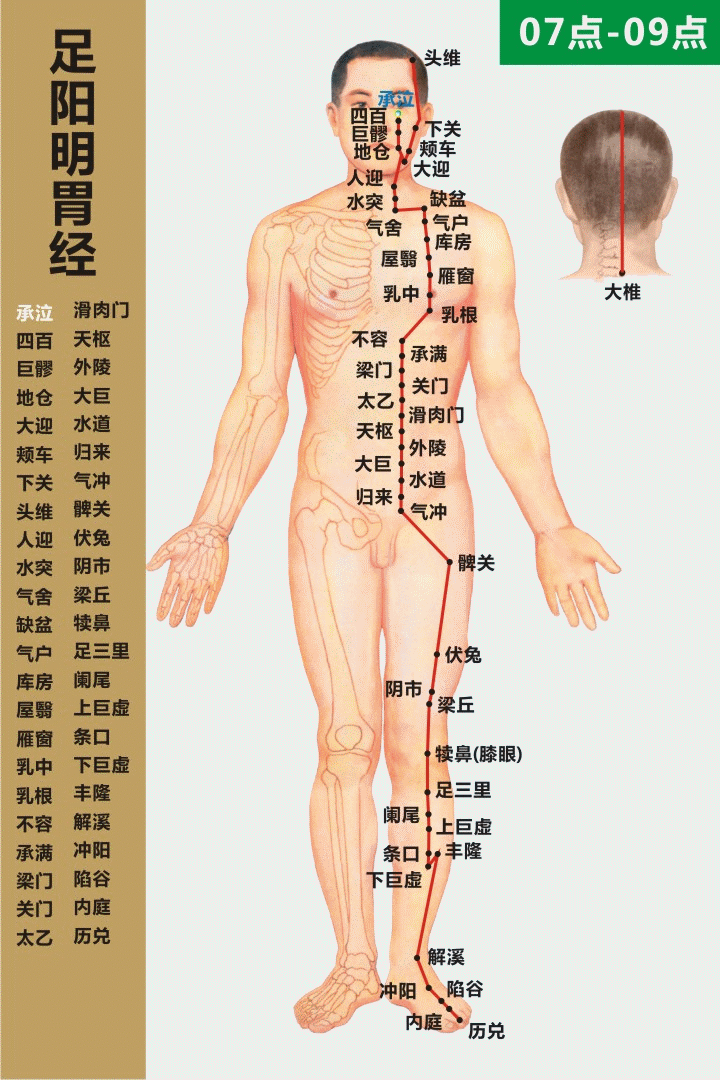 十二經絡走向動態圖 道家養生網