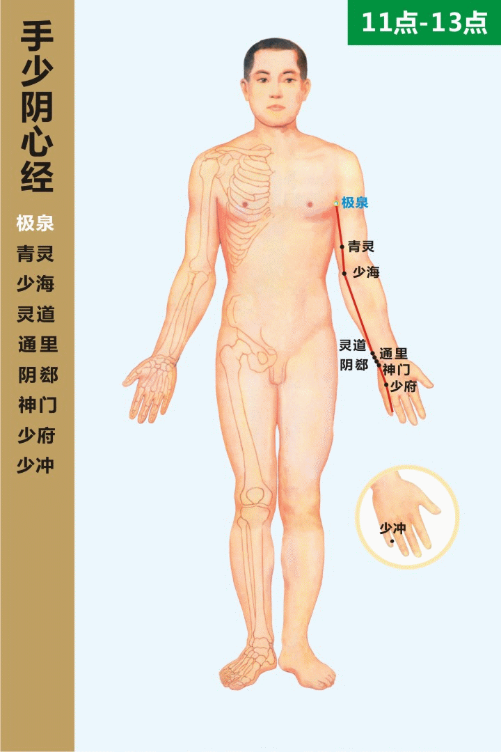 十二經絡走向動態圖 道家養生網