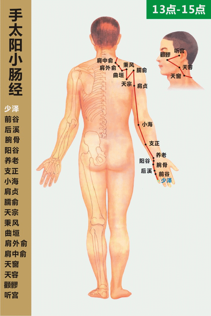 十二經絡走向動態圖 道家養生網