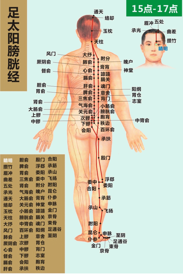 十二經絡走向動態圖 道家養生網