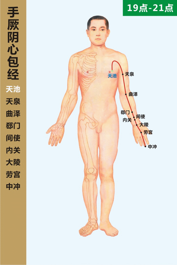 十二經絡走向動態圖 道家養生網