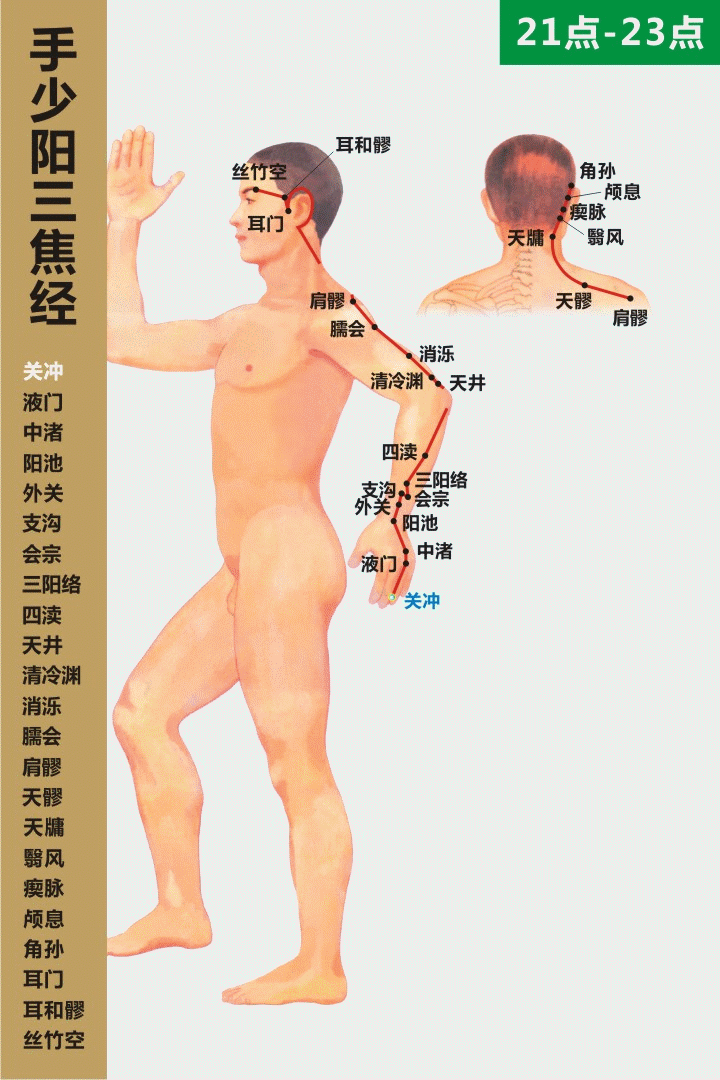 十二經絡走向動態圖 道家養生網
