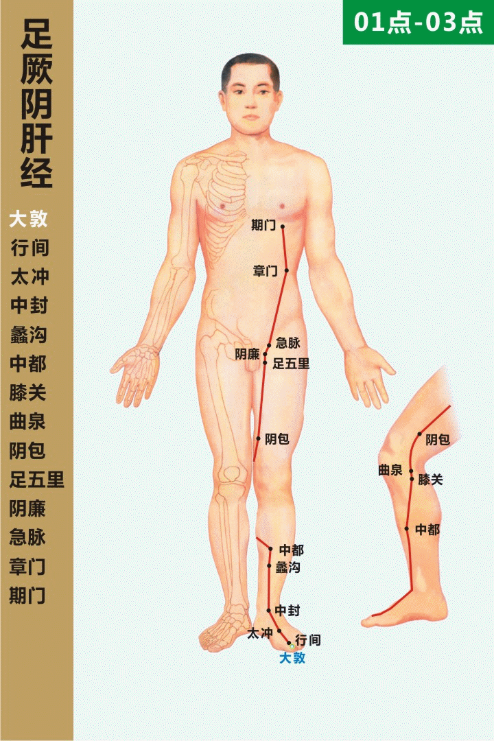 十二經絡走向動態圖 道家養生網
