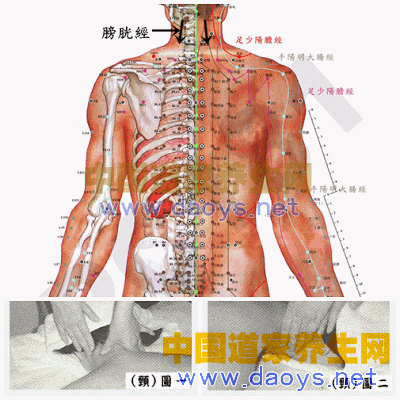 頸部位撥經(jīng)按摩- 背部筋膜疏理撥經(jīng)按摩手法—讓你遠(yuǎn)離病痛 道家養(yǎng)生網(wǎng)
