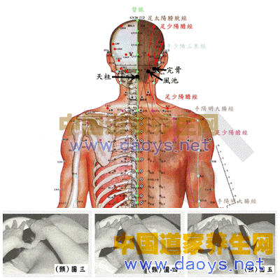 頸部位撥經(jīng)按摩- 背部筋膜疏理撥經(jīng)按摩手法—讓你遠(yuǎn)離病痛 道家養(yǎng)生網(wǎng)