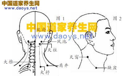 “七線撥筋”防治頸椎病 道家養生網