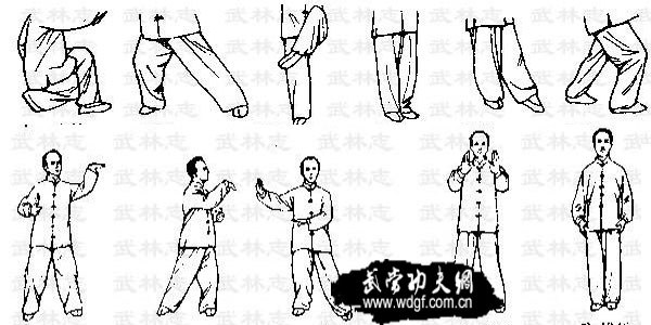 䮔T-F