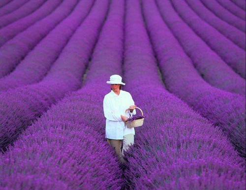 ļӜp˳