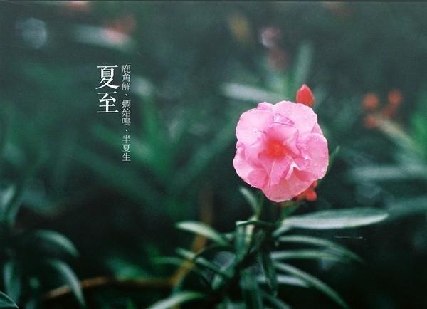 S掟衷g⣨ʮ
