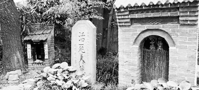 ȫ掟