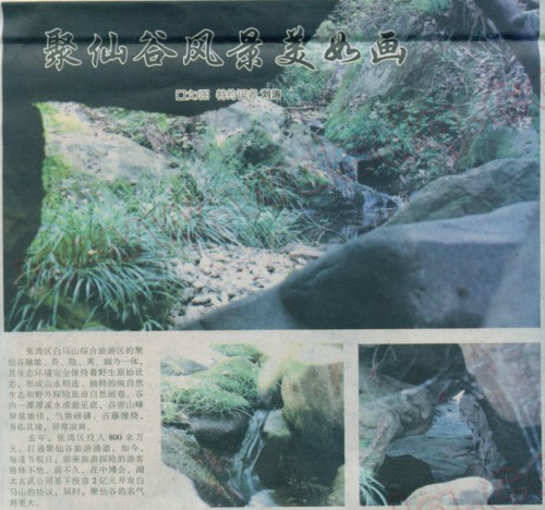 ɹ箋